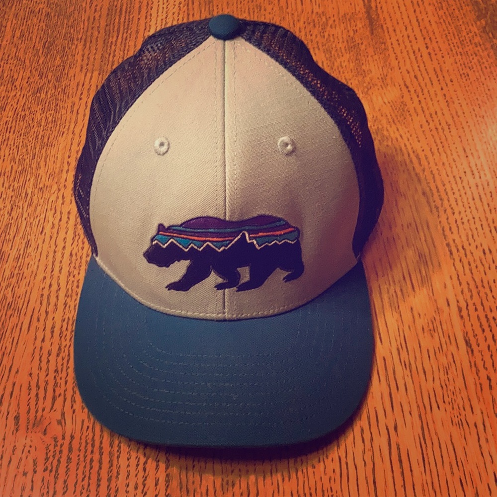 Patagonia Hat P-6 Trucker Logo